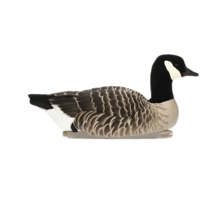 Avian-X flytande kanadagäss