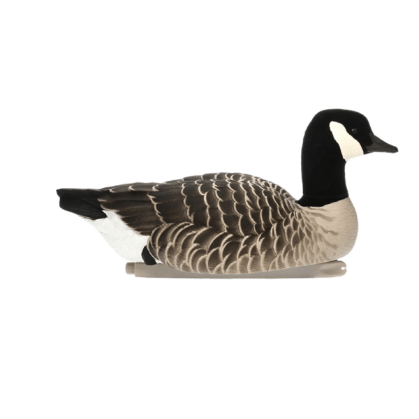 Avian-X flytande kanadagäss
